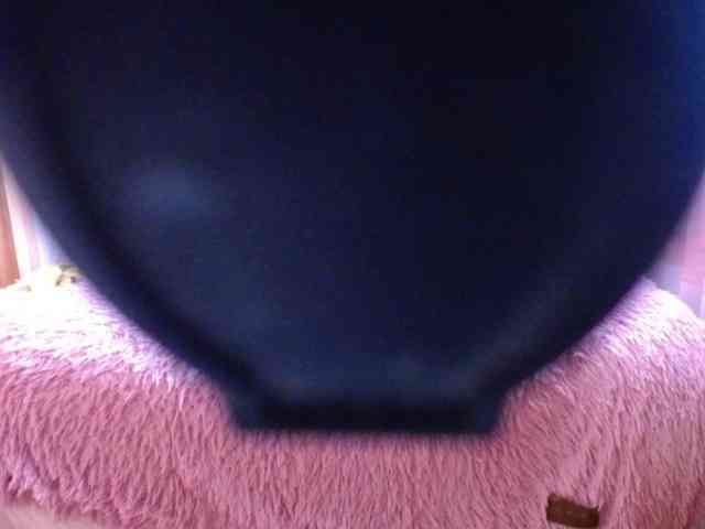 YoungMistress webcam