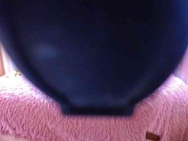 YoungMistress webcam
