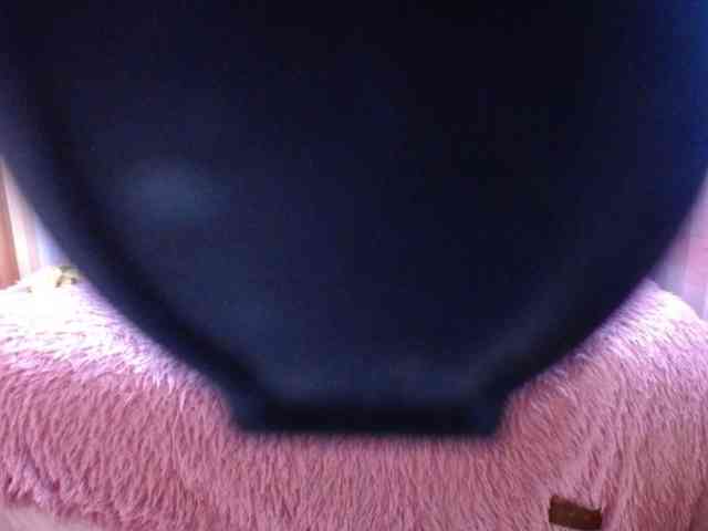 YoungMistress webcam