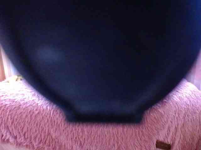 YoungMistress webcam