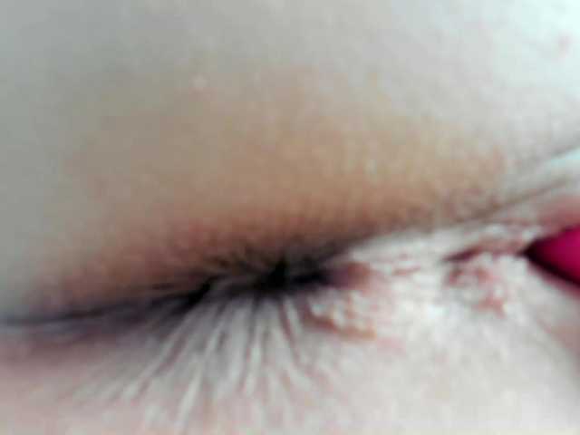 модель pevicha