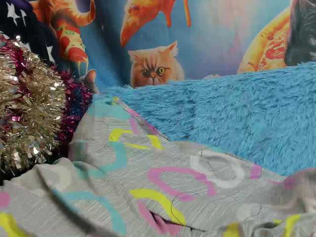 pevicha's BongaCams show and profile