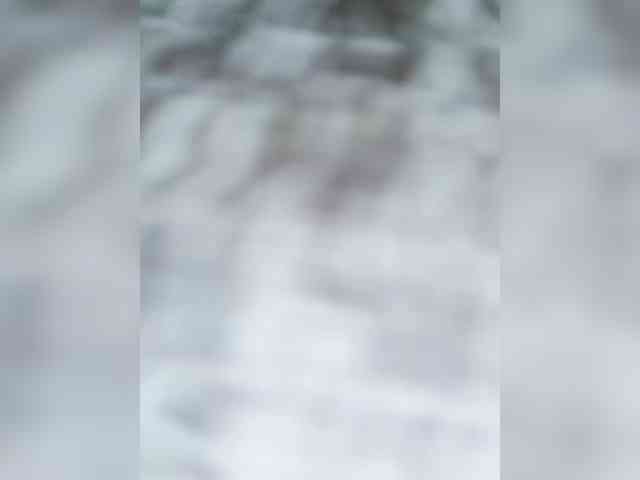 KOTENOCHEK_SEXY_KISA webcam