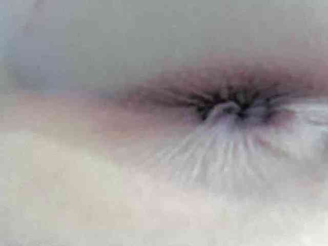 KOTENOCHEK27 webcam