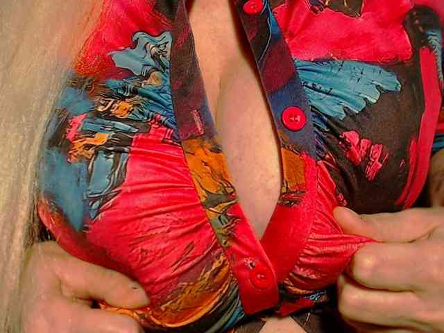 Vik_toriA webcam