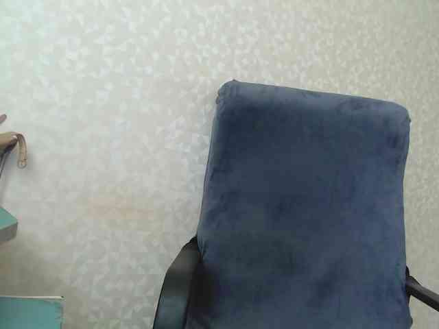 Missforkisss webcam
