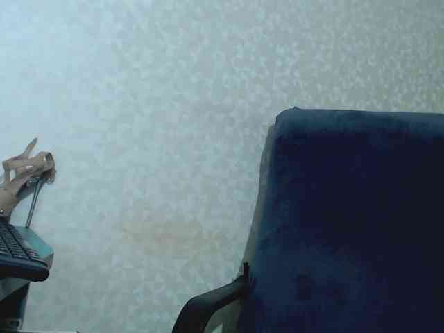 Missforkisss webcam