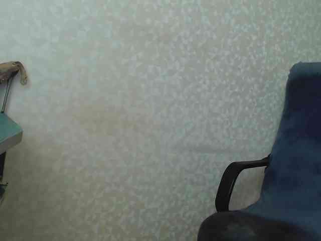 Missforkisss webcam