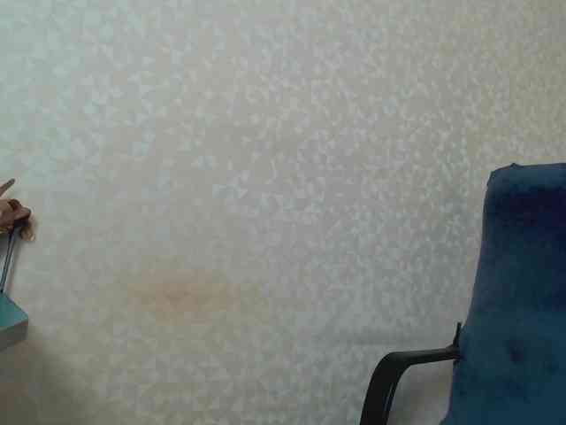 Missforkisss webcam