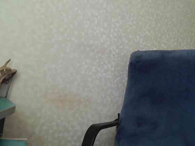 Missforkisss webcam