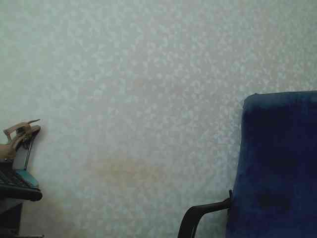 Missforkisss webcam