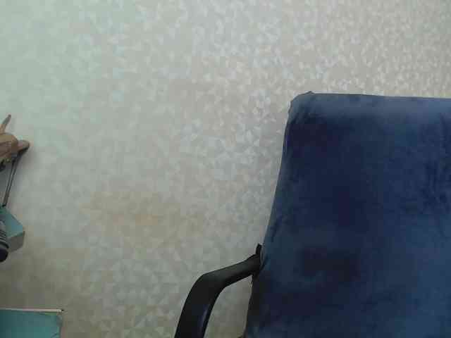 Missforkisss webcam