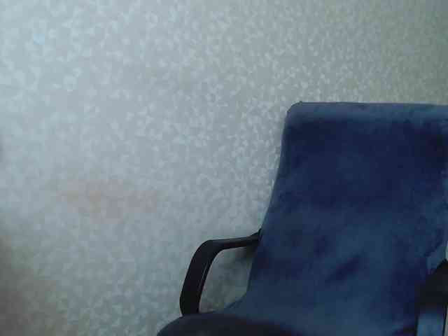 Missforkisss webcam