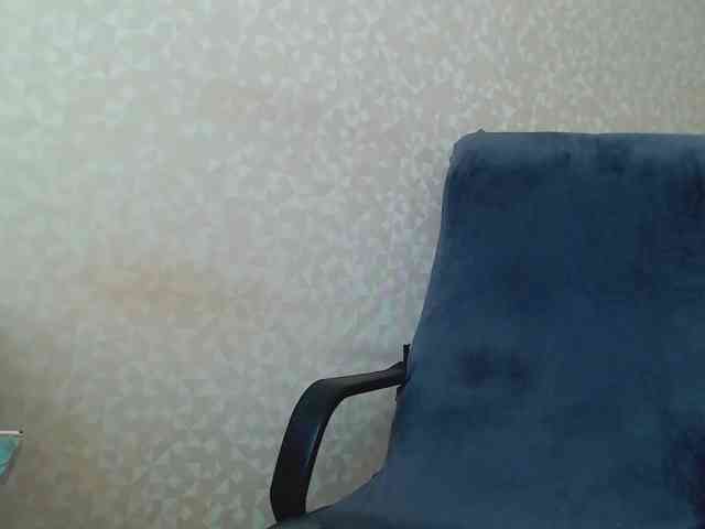 Missforkisss webcam