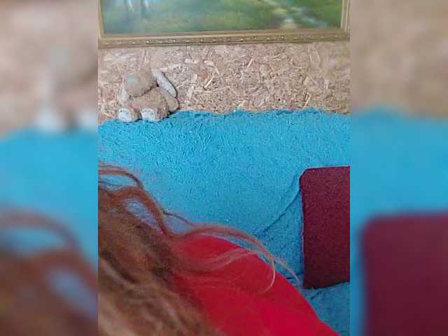 milli1983 belle show