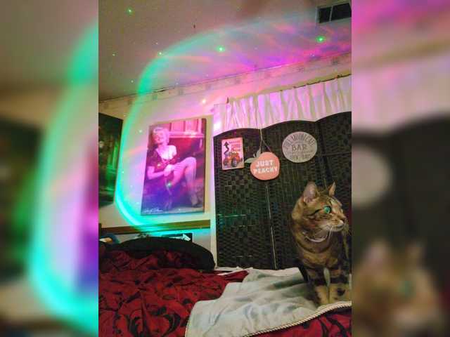 Prurient-Gem's BongaCams show and profile