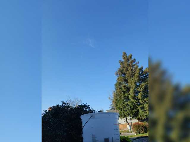 Preview of prurientgem