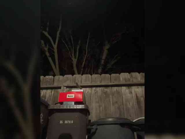 PrurientGem webcam