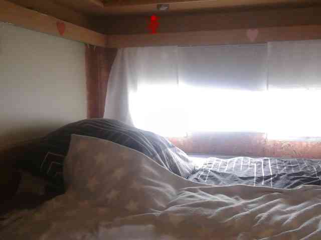 illymaus webcam