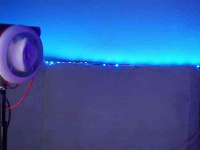 LADYCharmer webcam