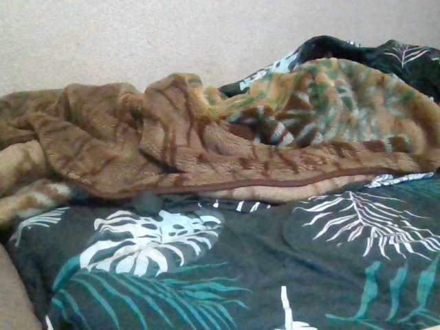 stasyabravo21's BongaCams show and profile