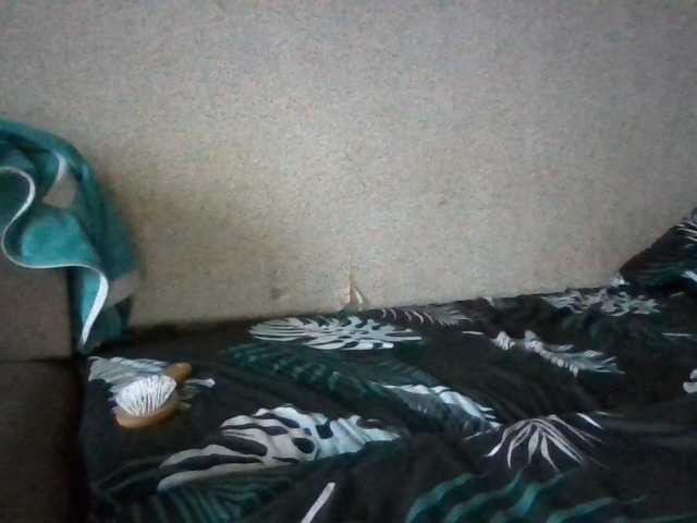 stasyabravo21's BongaCams show and profile