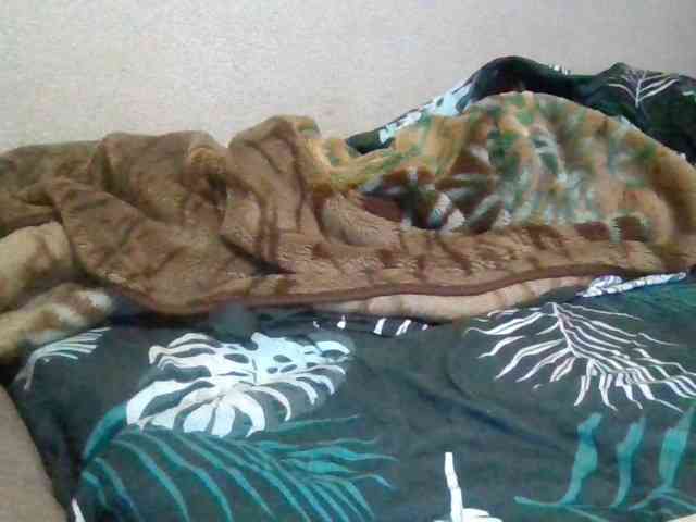 stasyabravo21 stasyabravo21