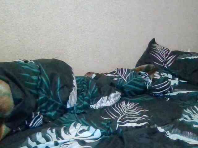 rDIORr webcam