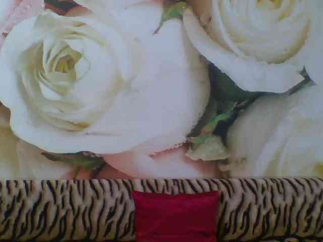 Beatris-K webcam