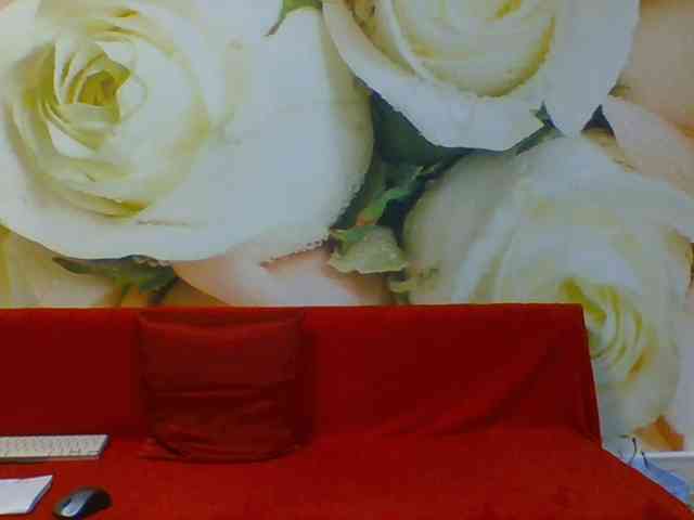Beatris-K webcam