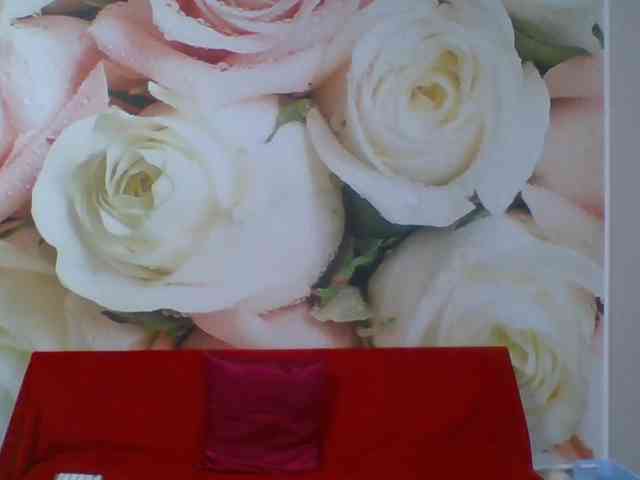 Beatris-K webcam