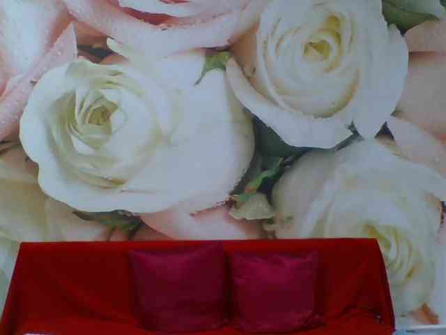 Beatris-K webcam
