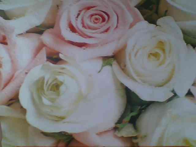 Beatris-K webcam