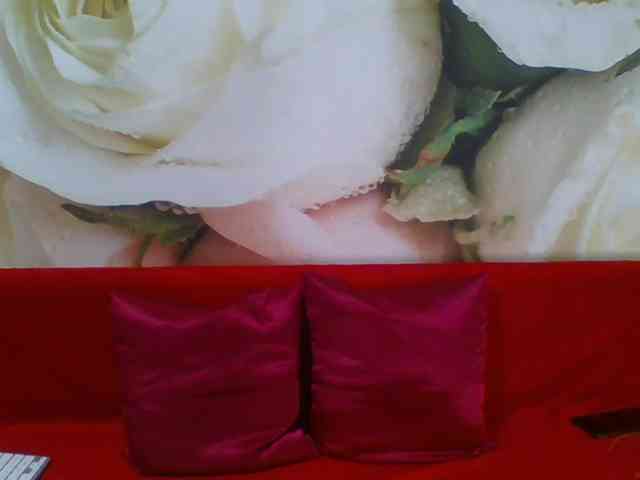 Beatris-K webcam