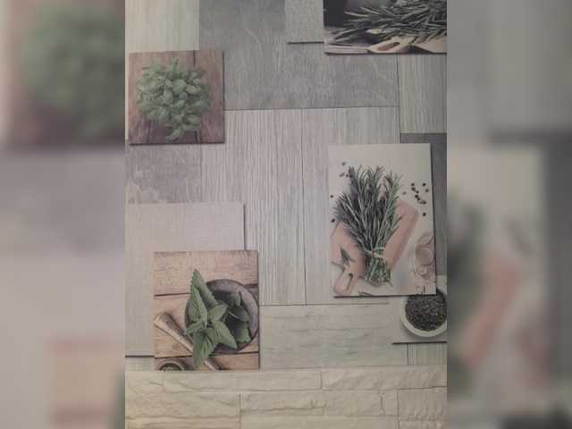 Preview of anesteishen