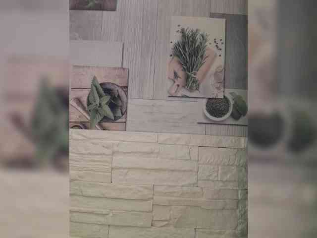 Anesteishen webcam