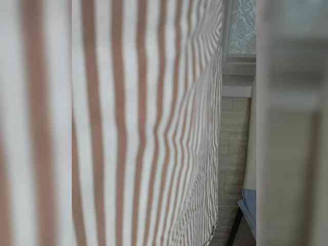 Anesteishen webcam