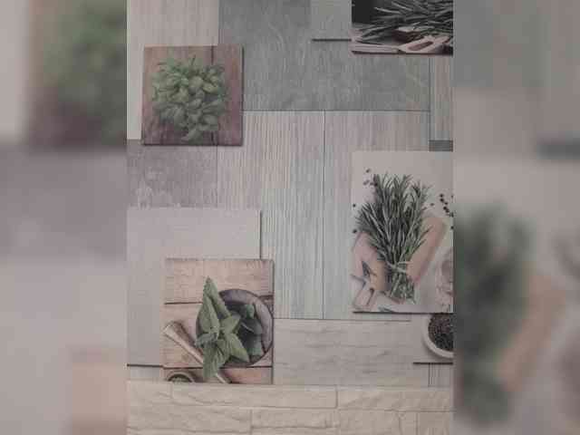 Anesteishen Anesteishen