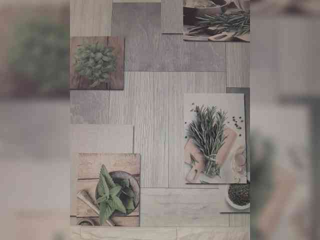 Anesteishen Anesteishen