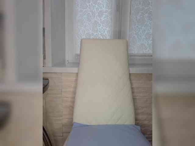 Anesteishen webcam
