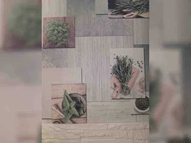 Anesteishen Anesteishen