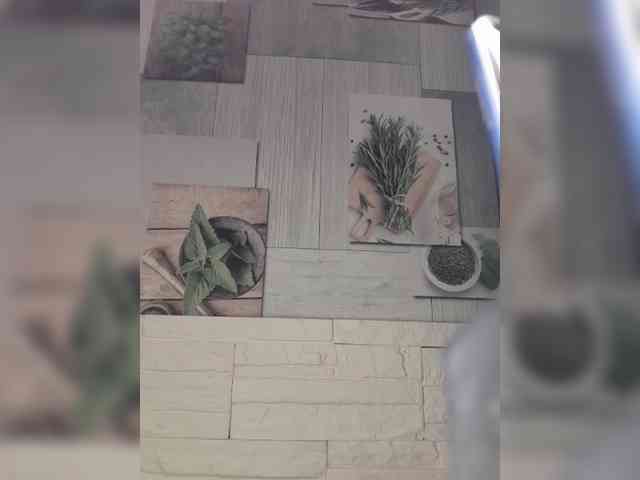 Anesteishen Anesteishen