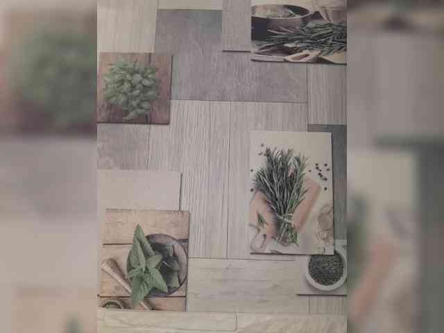 Anesteishen Anesteishen