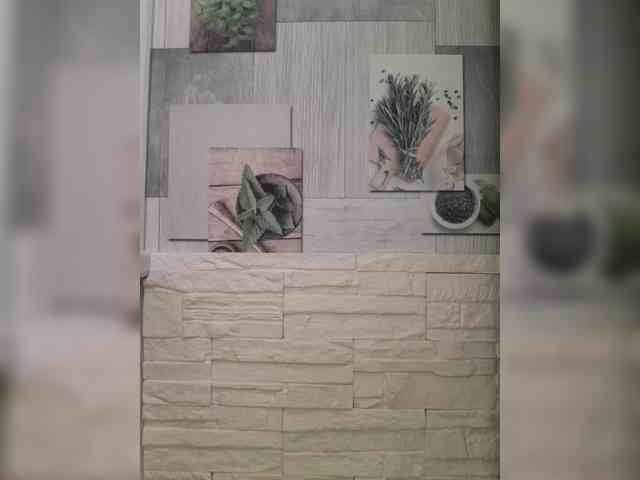 Anesteishen webcam