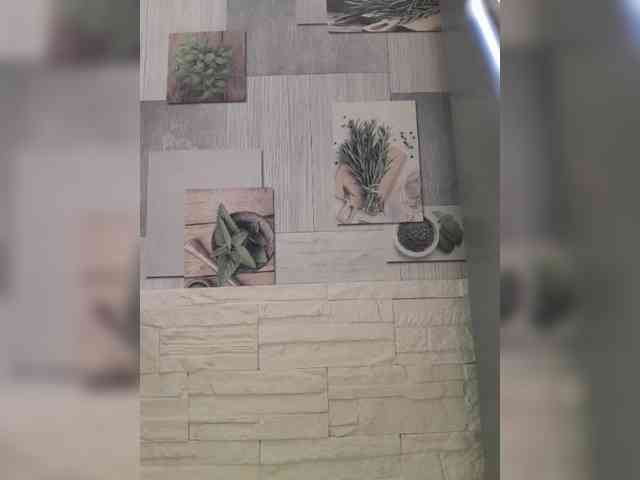 Anesteishen webcam