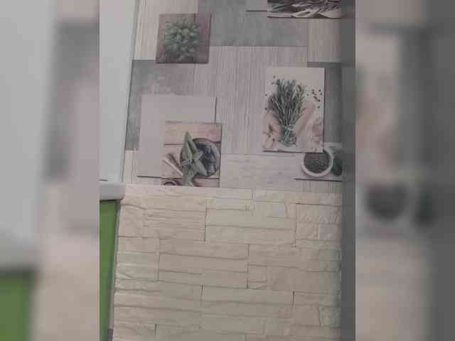 Anesteishen webcam