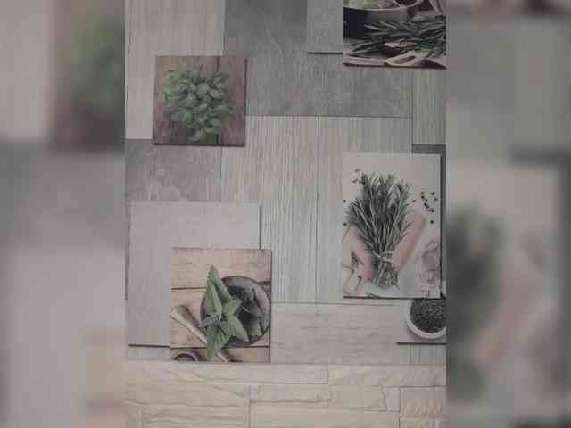 Anesteishen Anesteishen