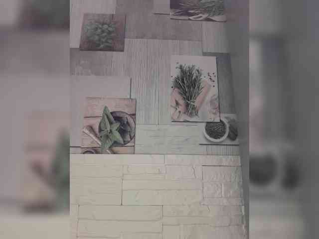 Anesteishen Anesteishen