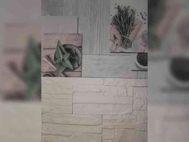 Anesteishen Anesteishen