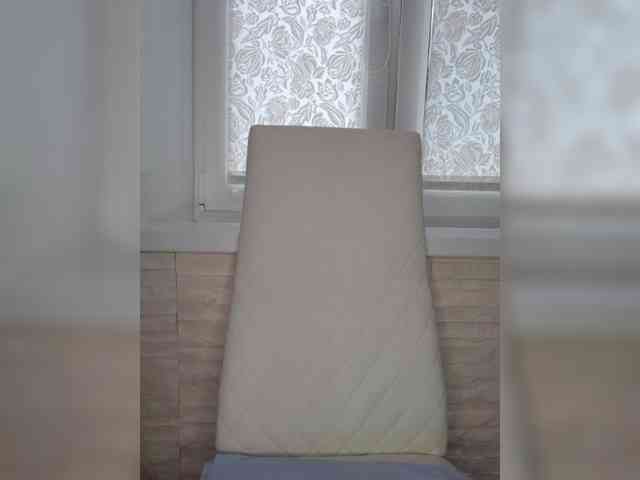 Anesteishen webcam